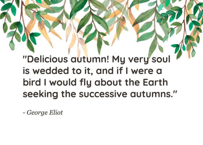 fall-time-quote