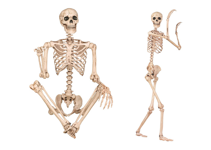 halloween-skeleton-decor